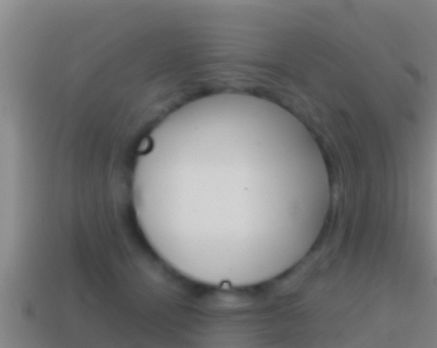 X0000114620464200910201005