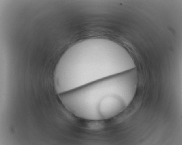 X0000114620465200910201005