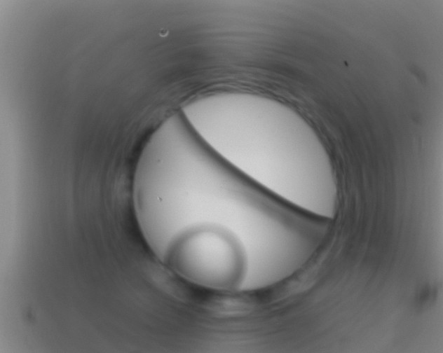 X0000114620466200910201005