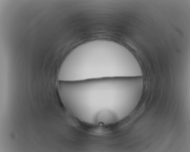 X0000114620467200910201005
