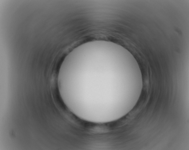 X0000114620468200910201005