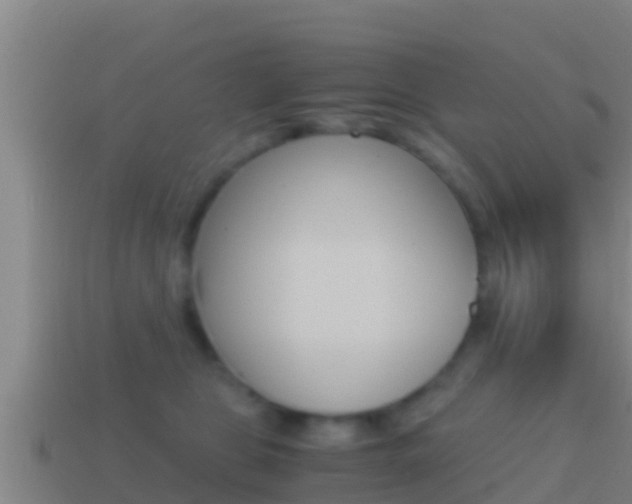 X0000114620469200910201005