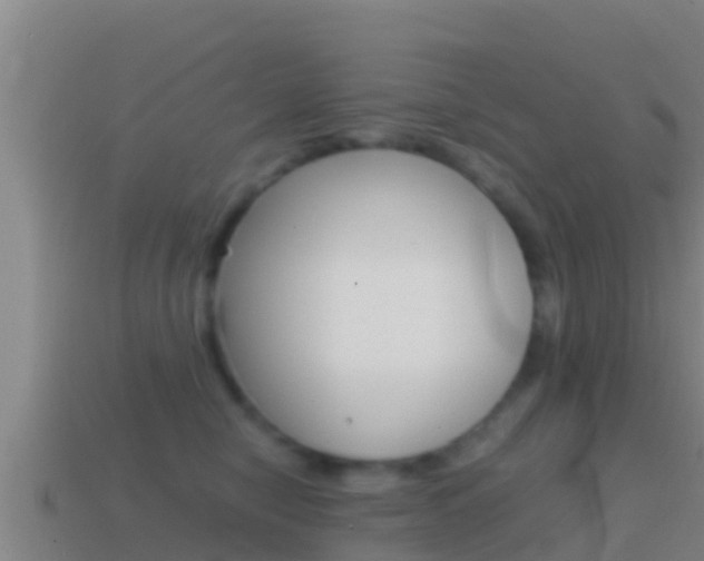 X0000114620470200910201005