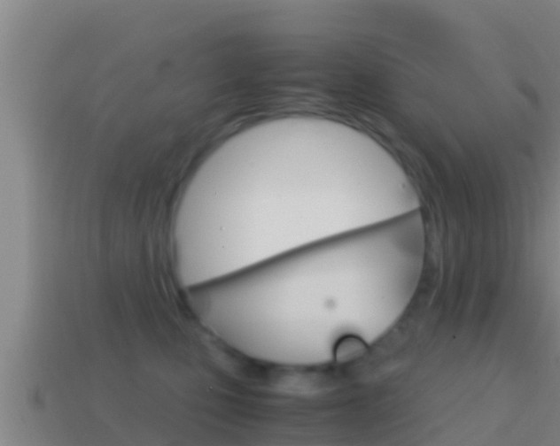 X0000114620471200910201005
