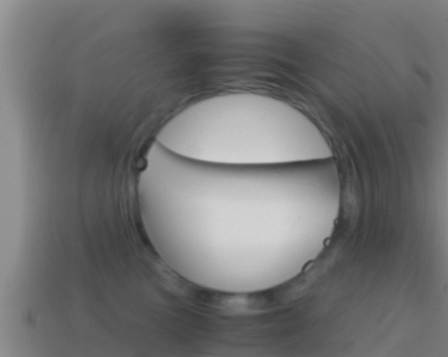 X0000114620473200910201005