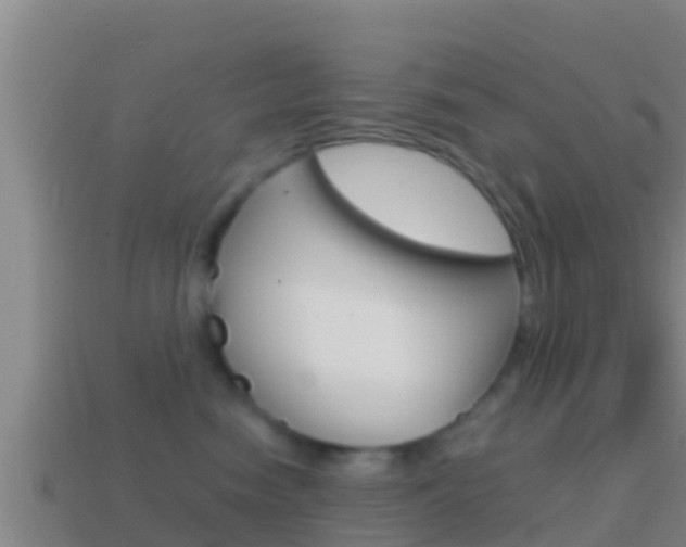 X0000114620474200910201005