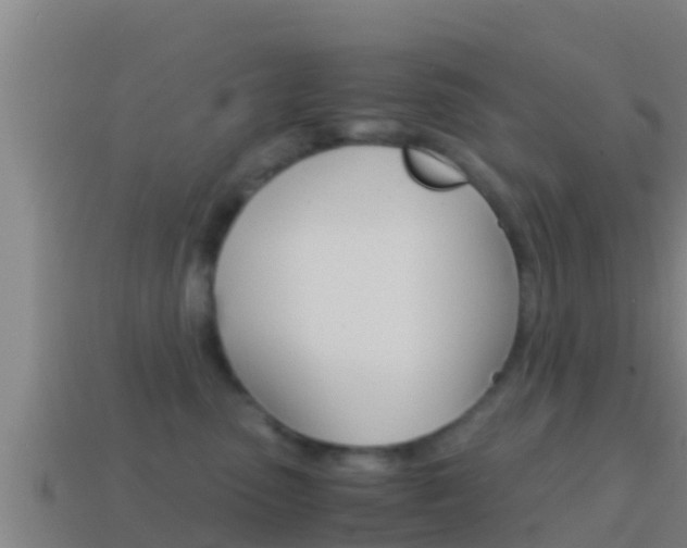 X0000114620475200910201005