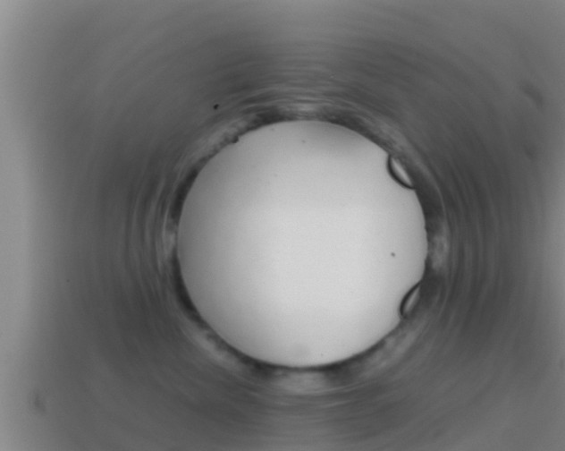 X0000114620476200910201005