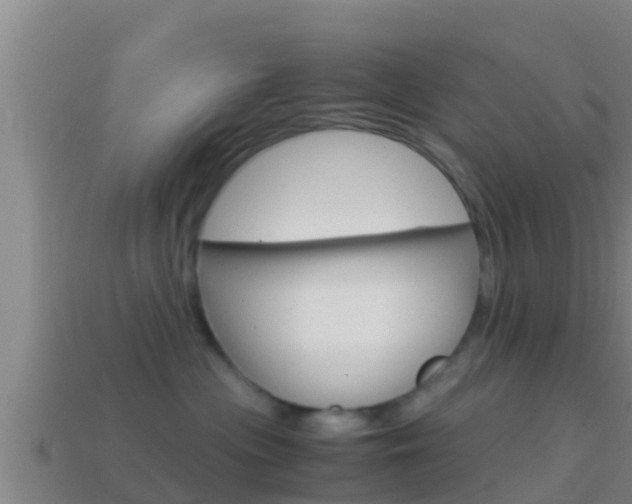 X0000114620477200910201005