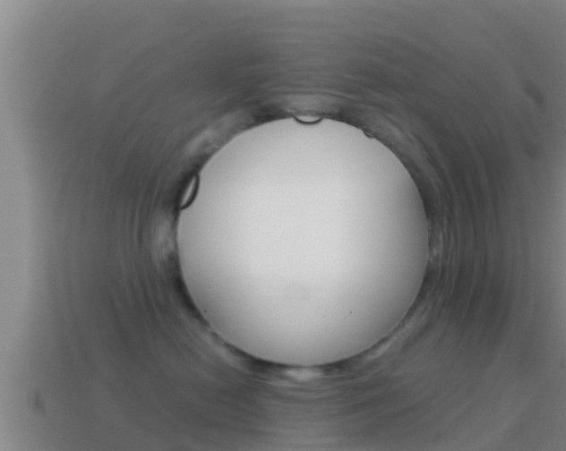 X0000114620478200910201005