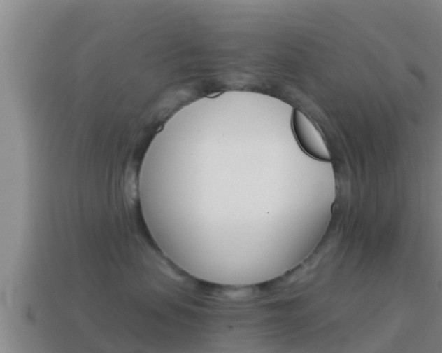 X0000114620479200910201005