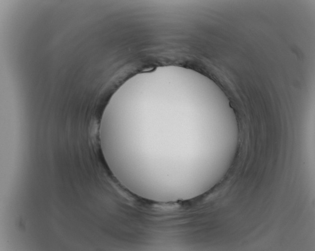 X0000114620480200910201005