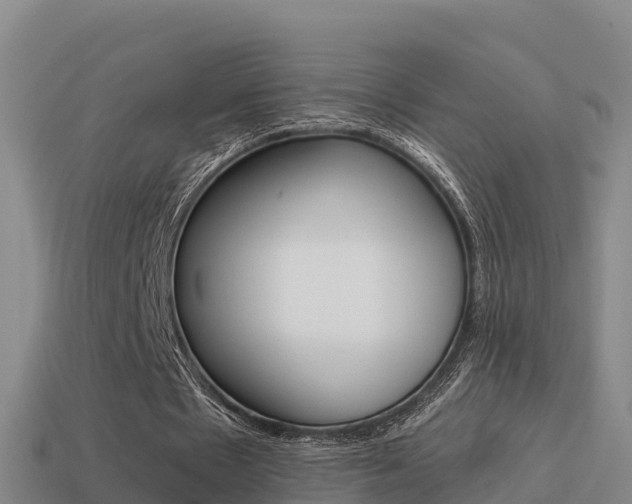 X0000114620481200910201004