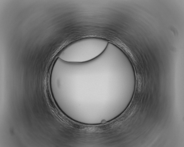 X0000114620482200910201004