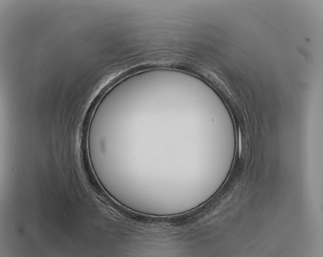 X0000114620483200910201004