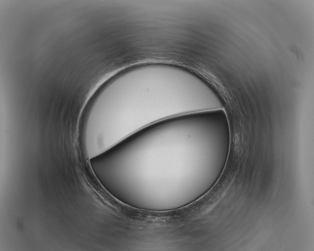 X0000114620484200910201004