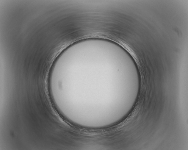 X0000114620485200910201004