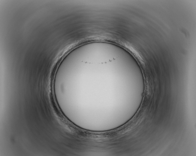 X0000114620486200910201004