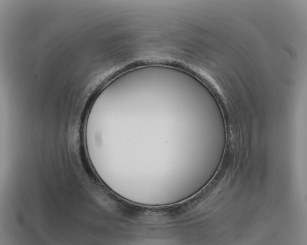 X0000114620487200910201004