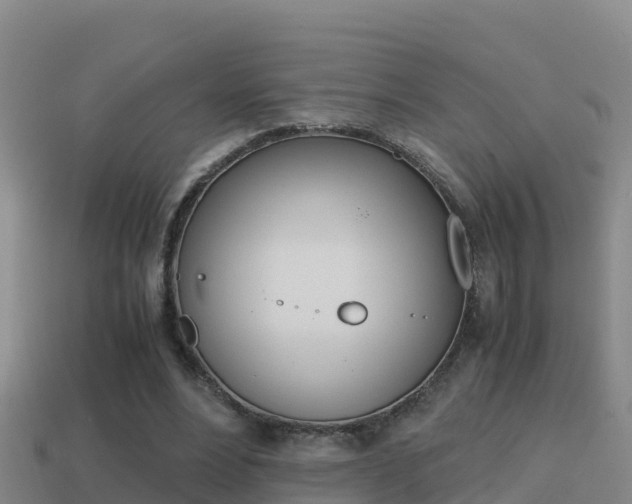X0000114620488200910201004