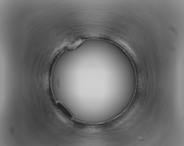 X0000114620489200910201004