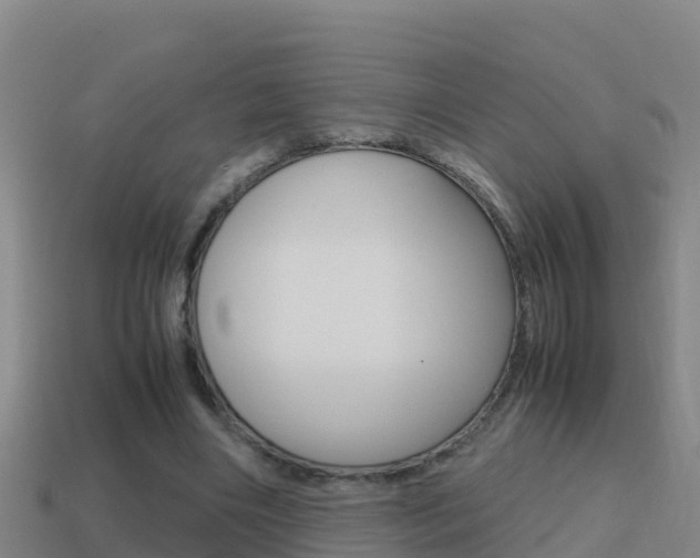 X0000114620490200910201004