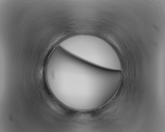 X0000114620491200910201004