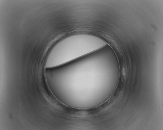 X0000114620492200910201004