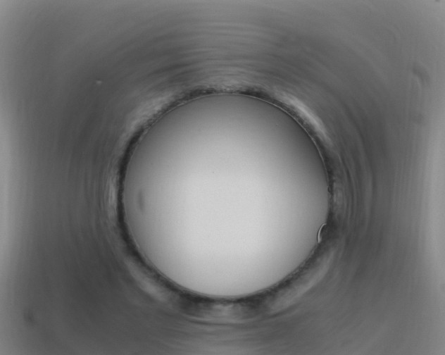 X0000114620493200910201004