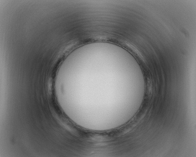 X0000114620494200910201004