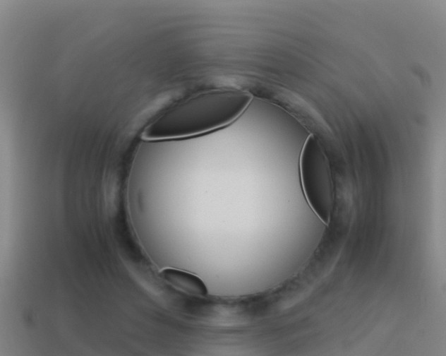X0000114620496200910201004