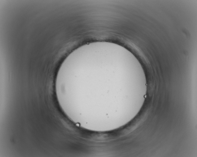 X0000114620497200910201004