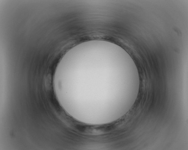 X0000114620498200910201004