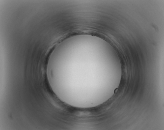 X0000114620500200910201004