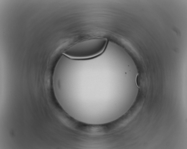 X0000114620501200910201004