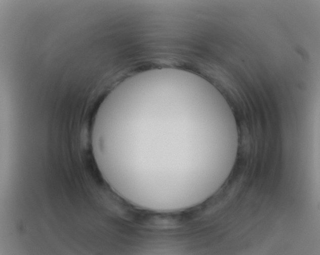 X0000114620502200910201004