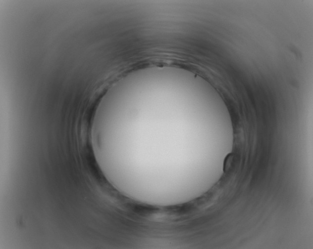 X0000114620504200910201004