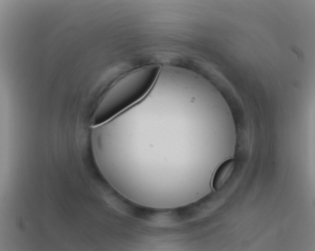 X0000114620505200910201004