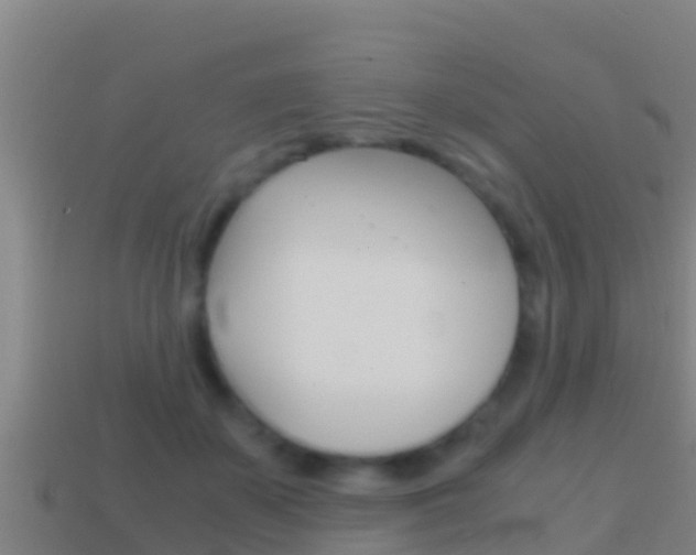 X0000114620507200910201004