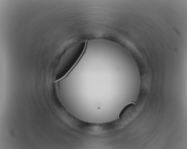 X0000114620509200910201004