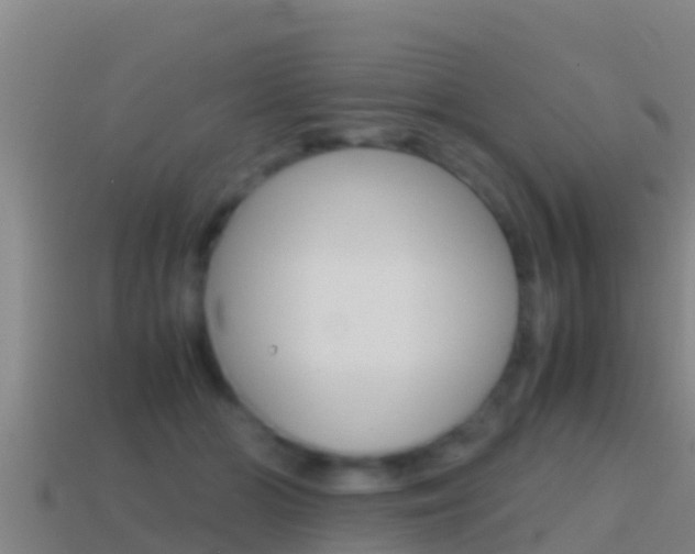 X0000114620510200910201004