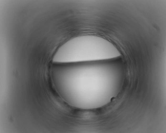 X0000114620512200910201004