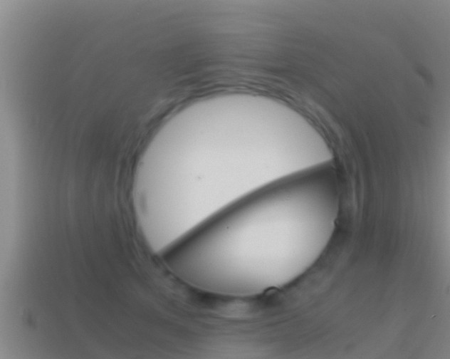 X0000114620513200910201004