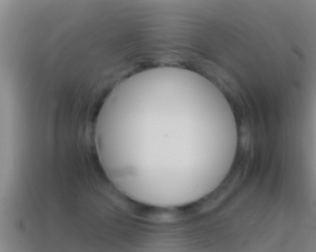 X0000114620514200910201004