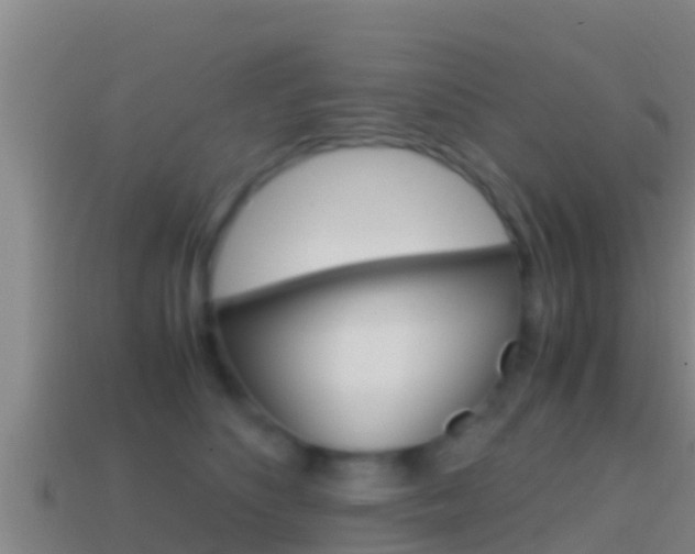 X0000114620516200910201004