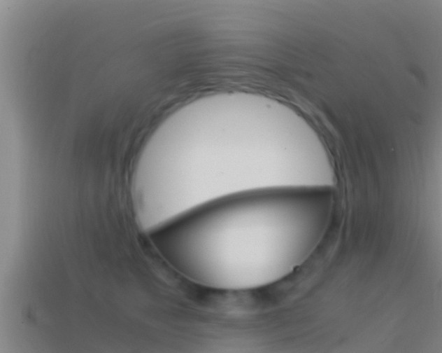 X0000114620517200910201004