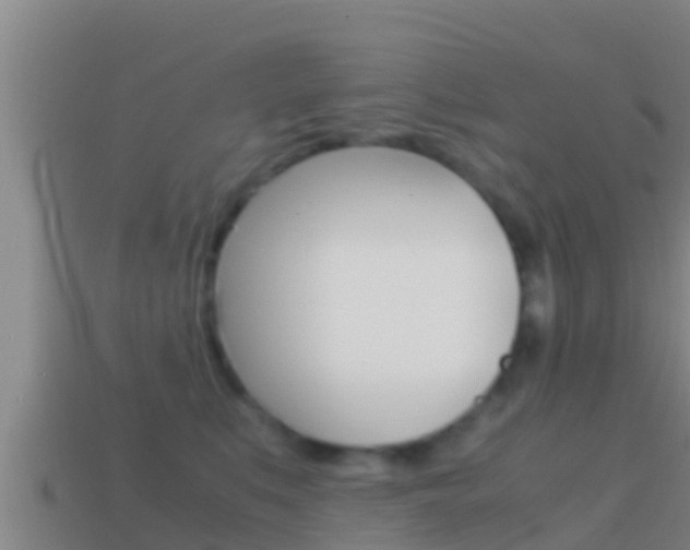X0000114620519200910201004