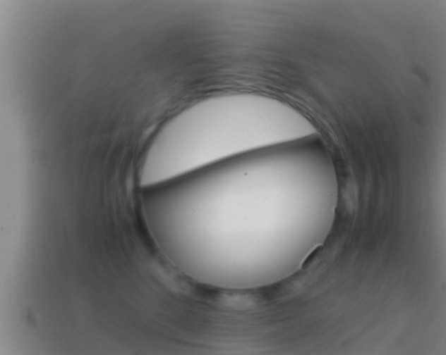 X0000114620520200910201004