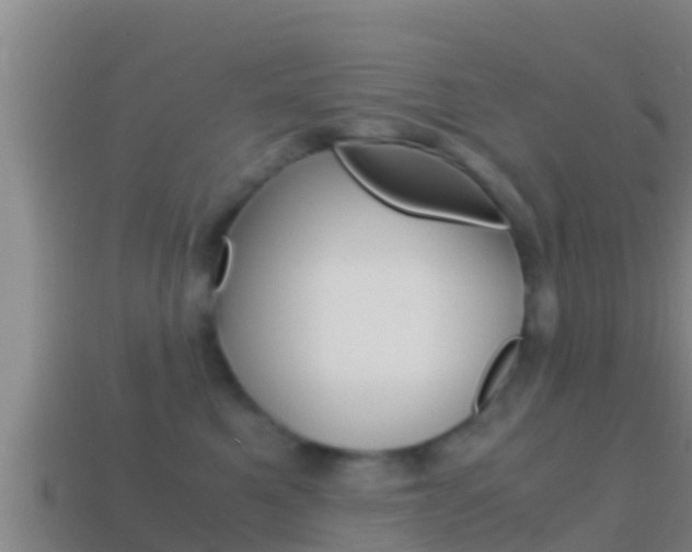 X0000114620521200910201004