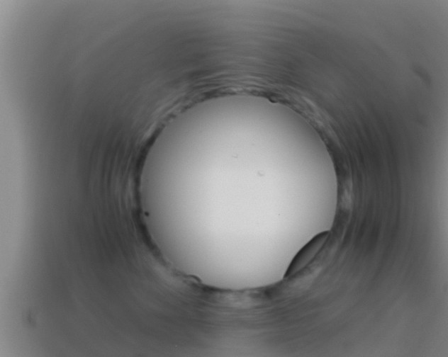 X0000114620524200910201004